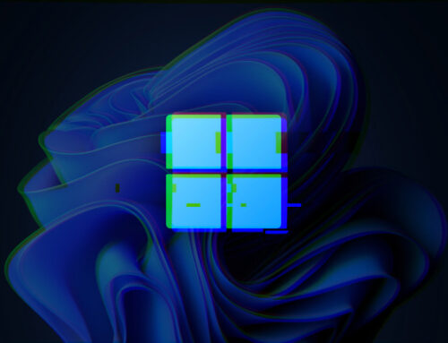 Windows 11 Moment 5 (KB5035942) verursacht Installationsprobleme, BSOD, schwarzer Desktop-Bildschirm